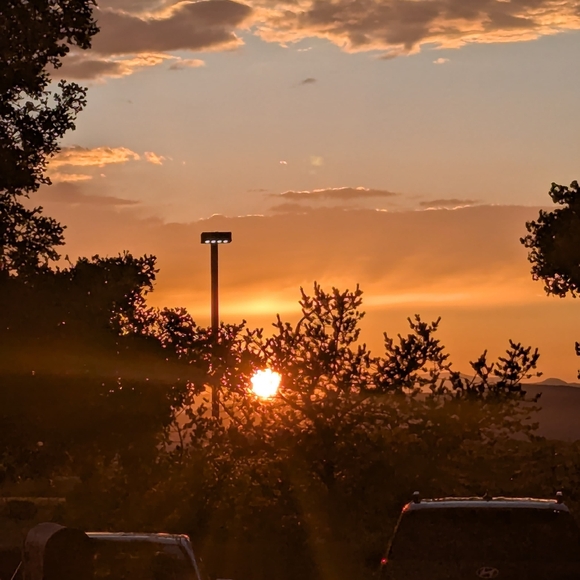 Meet your Posher, Rosa - Picture 3 of 4